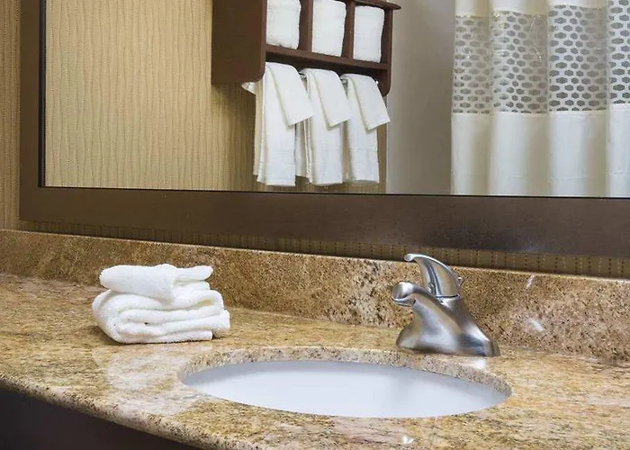 Hotel Hampton Worth Southwest Cityview 3*